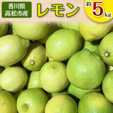レモン　約5kg  | ふるさと納税のお礼品