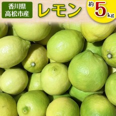 レモン 約5kg 