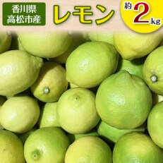 レモン　約2kg  | ふるさと納税のお礼品