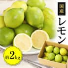 レモン　約2kg