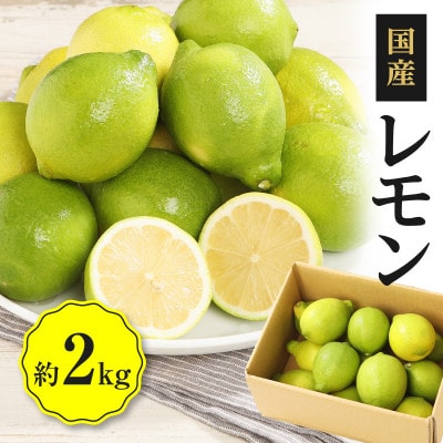 レモン　約2kg