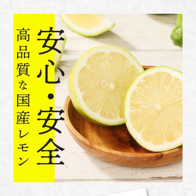 レモン　約2kg