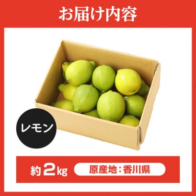 レモン　約2kg