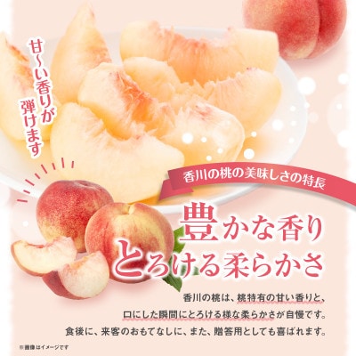 【先行受付2025年】【数量限定500セット・6月～7月発送】香川の桃(大玉) 約3.6kg