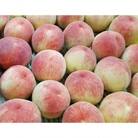 【先行受付2026年】【感謝企画500セット・2026年6月～7月発送】香川の桃(小玉)約3.6kg