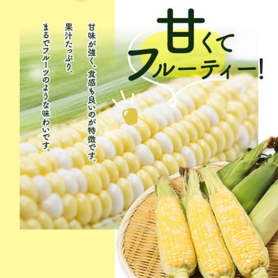 【2025年6～7月発送】ドルチェドリーム　約2kg