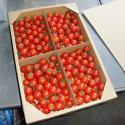 ご家庭用ミニトマト　約3kg(高松市)