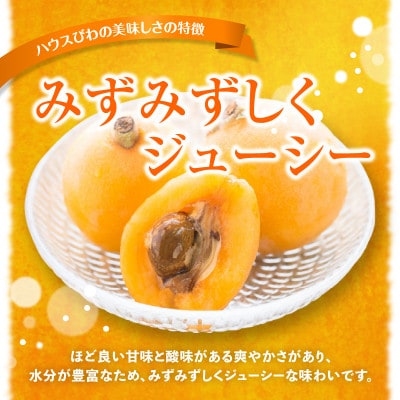 【先行受付2025年】ハウスびわ化粧箱　約500g
