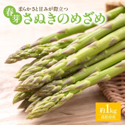 【先行受付2026年】【3～4月発送】柔らかさと甘みが際立つ　さぬきのめざめ春芽　約1kg