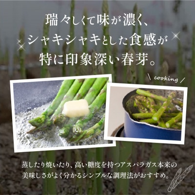 【先行受付2026年】【3～4月発送】柔らかさと甘みが際立つ　さぬきのめざめ春芽　約1kg