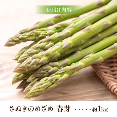 【先行受付2026年】【3～4月発送】柔らかさと甘みが際立つ　さぬきのめざめ春芽　約1kg