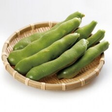 【先行受付2024年】旬の味覚　そらまめ　約2kg