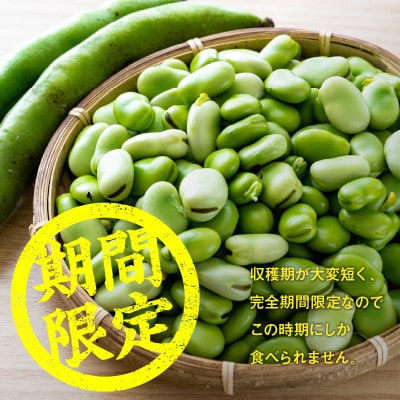 【先行受付2025年】旬の味覚　そらまめ　約2kg