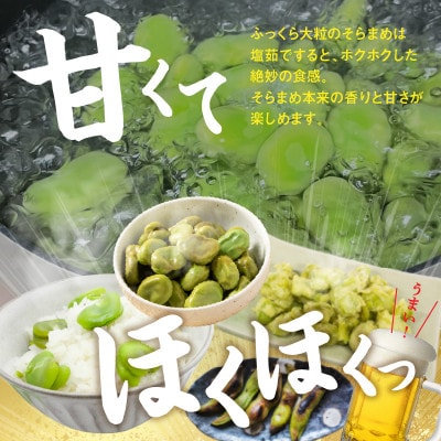 【先行受付2025年】旬の味覚　そらまめ　約2kg