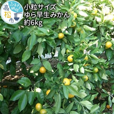 【先行受付2025年】【数量限定3000セット】小粒サイズ　ゆら早生みかん約6kg