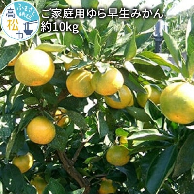 【先行受付2025年】【数量限定5000セット】ご家庭用ゆら早生みかん約10kg