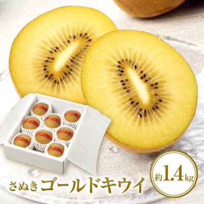 【先行受付2025年】さぬきゴールドキウイ化粧箱　約1.4kg
