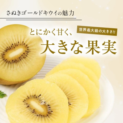 【先行受付2025年】さぬきゴールドキウイ化粧箱　約1.4kg
