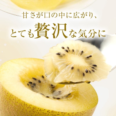 【先行受付2025年】さぬきゴールドキウイ化粧箱　約1.4kg