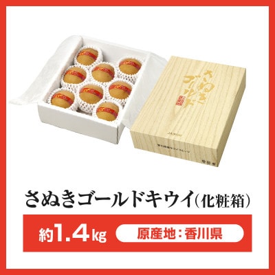 【先行受付2025年】さぬきゴールドキウイ化粧箱　約1.4kg