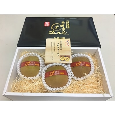 【数量限定500セット】さぬきゴールドキウイ化粧箱(大玉)　約600g