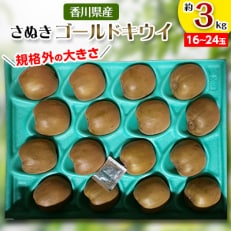 【先行受付2023年】さぬきゴールドキウイ　約3kg | ふるさと納税のお礼品