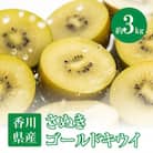 【先行受付2025年】さぬきゴールドキウイ　約3kg