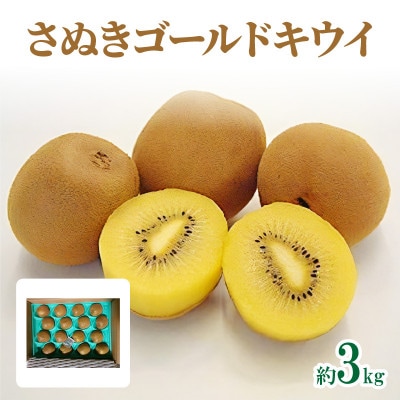 【先行受付2025年】さぬきゴールドキウイ　約3kg