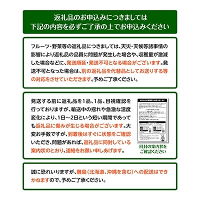 【先行受付2025年】厳選大玉さぬきエンジェルスイート化粧箱　約1kg