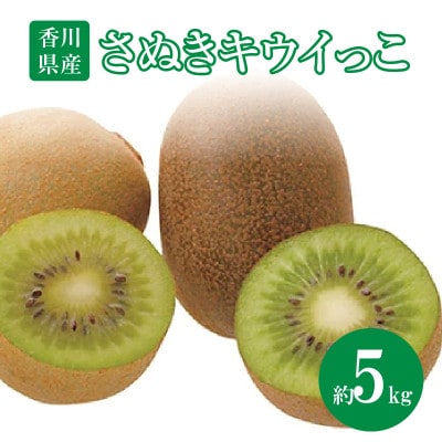 【先行受付2025年】さぬきキウイっこ　約5kg