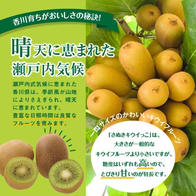 【先行受付2025年】さぬきキウイっこ　約5kg