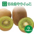 【先行受付2025年】さぬきキウイっこ　約2kg