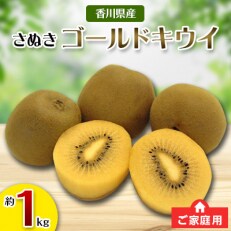 ご家庭用さぬきゴールドキウイ　約1kg