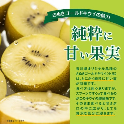ご家庭用さぬきゴールドキウイ　約1kg