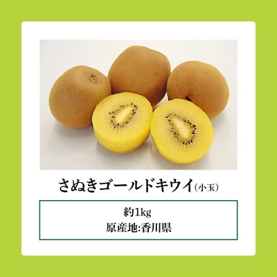 ご家庭用さぬきゴールドキウイ　約1kg