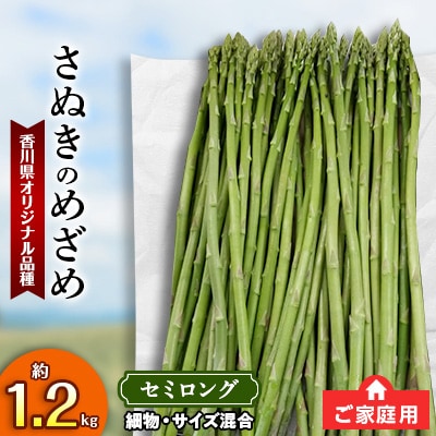 【先行受付2025年】ご家庭用　さぬきのめざめセミロング(細物・サイズ混合)　約1.2kg
