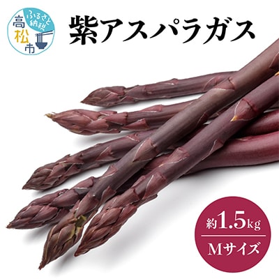 【先行受付2025年】貴重で甘みが強い!　紫アスパラガス(Mサイズ)　約1.5kg