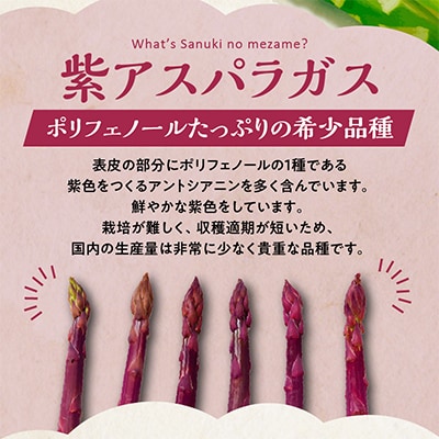 【先行受付2025年】アスパラガス食べ比べ(紫500gとさぬきのめざめ500g)　約1kg