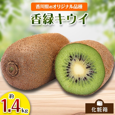 【先行受付2026年】【感謝企画2000セット限定】香緑キウイ化粧箱　約1.4kg