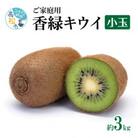 【先行受付2025年】ご家庭用香緑キウイ(小玉)　約3kg