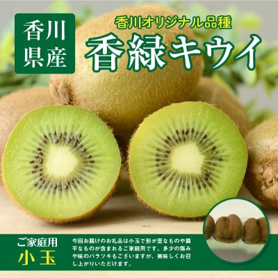 【先行受付2025年】ご家庭用香緑キウイ(小玉)　約3kg