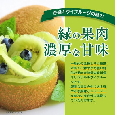 【先行受付2025年】ご家庭用香緑キウイ(小玉)　約3kg