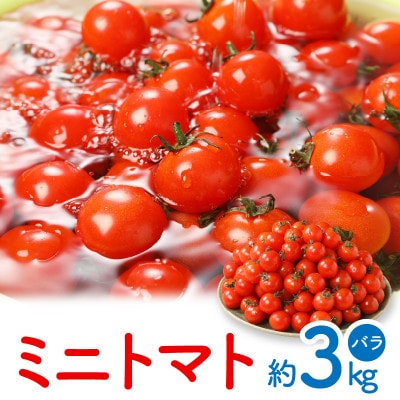 【先行受付2025年】【3月～6月発送】ミニトマト(バラ)　約3kg