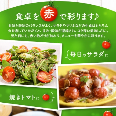 【先行受付2025年】【3月～6月発送】ミニトマト(バラ)　約3kg