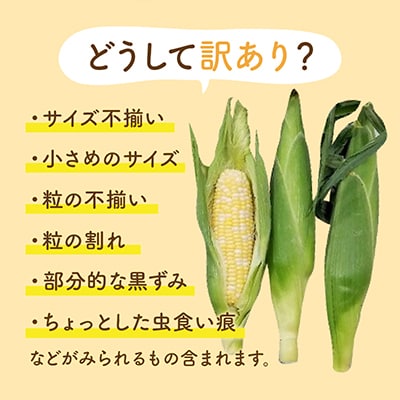 【2025年6～7月発送・感謝企画3000セット限定】ご家庭用ドルチェドリーム　約4.5kg