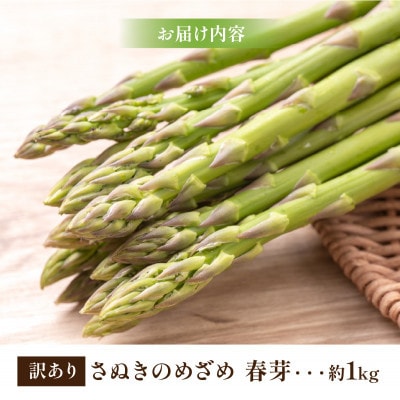 【先行受付2026年】訳ありさぬきのめざめ春芽　約1kg