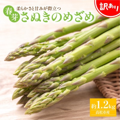 【先行受付2026年】【2026年3～5月発送】訳ありさぬきのめざめ春芽　約1.2kg