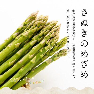 【先行受付2026年】【2026年3～5月発送】訳ありさぬきのめざめ春芽　約1.2kg