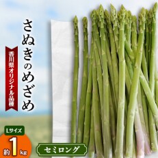 【先行受付2024年】【3～7月発送】さぬきのめざめセミロング30cm(Lサイズ以上)　約1kg