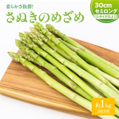 【先行受付2025年】【3～7月発送】さぬきのめざめセミロング30cm(Lサイズ以上)　約1kg